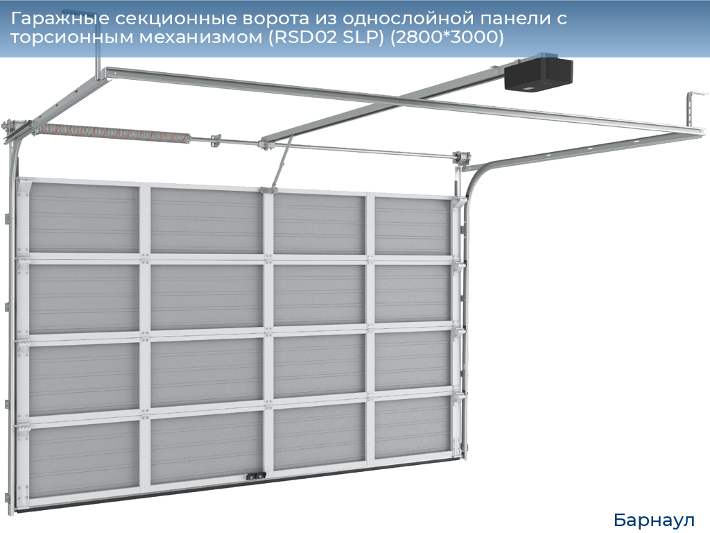 Гаражные секционные ворота из однослойной панели с торсионным механизмом (RSD02 SLP) (2800*3000), barnaul.doorhan.ru