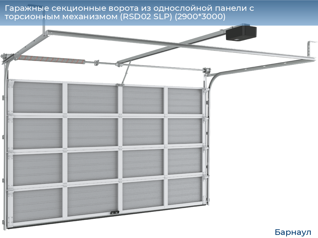 Гаражные секционные ворота из однослойной панели с торсионным механизмом (RSD02 SLP) (2900*3000), barnaul.doorhan.ru