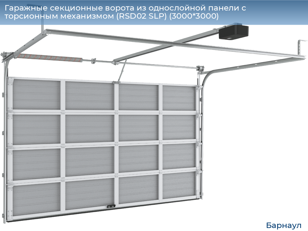 Гаражные секционные ворота из однослойной панели с торсионным механизмом (RSD02 SLP) (3000*3000), barnaul.doorhan.ru