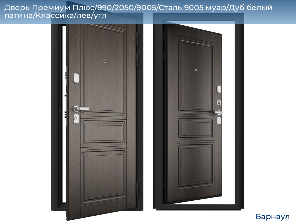 Дверь Премиум Плюс/990/2050/9005/Сталь 9005 муар/Дуб белый патина/Классика/лев/угл, barnaul.doorhan.ru