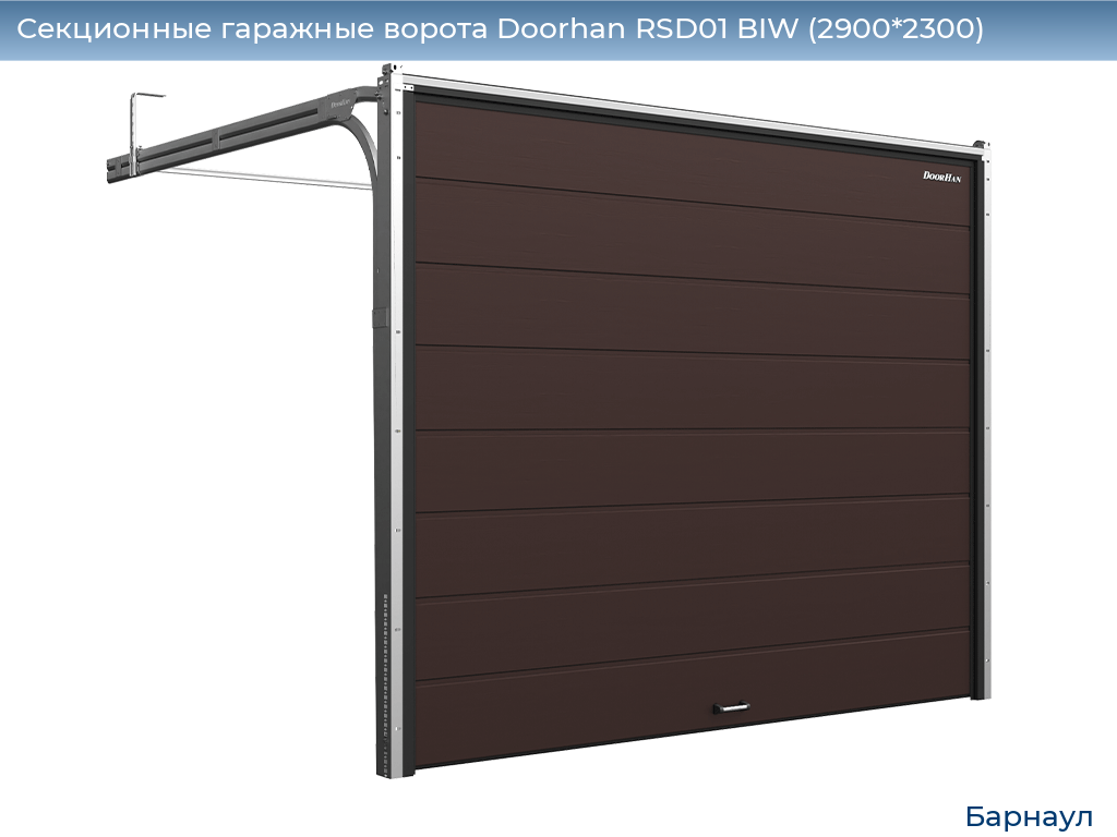 Секционные гаражные ворота Doorhan RSD01 BIW (2900*2300), barnaul.doorhan.ru