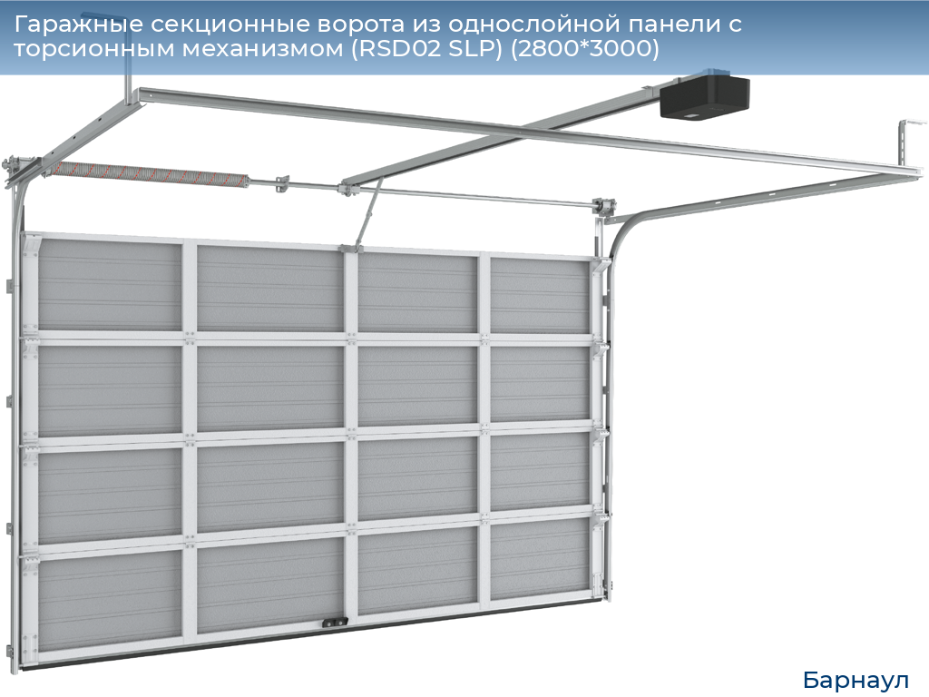 Гаражные секционные ворота из однослойной панели с торсионным механизмом (RSD02 SLP) (2800*3000), barnaul.doorhan.ru