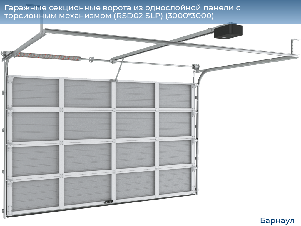 Гаражные секционные ворота из однослойной панели с торсионным механизмом (RSD02 SLP) (3000*3000), barnaul.doorhan.ru