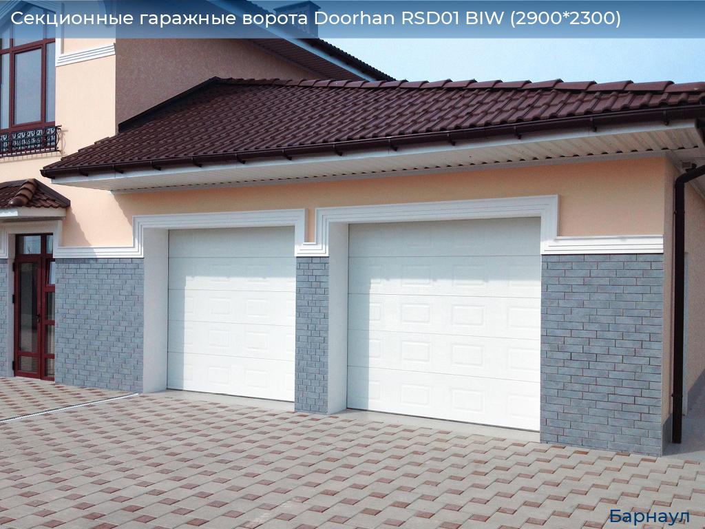 Секционные гаражные ворота Doorhan RSD01 BIW (2900*2300), barnaul.doorhan.ru
