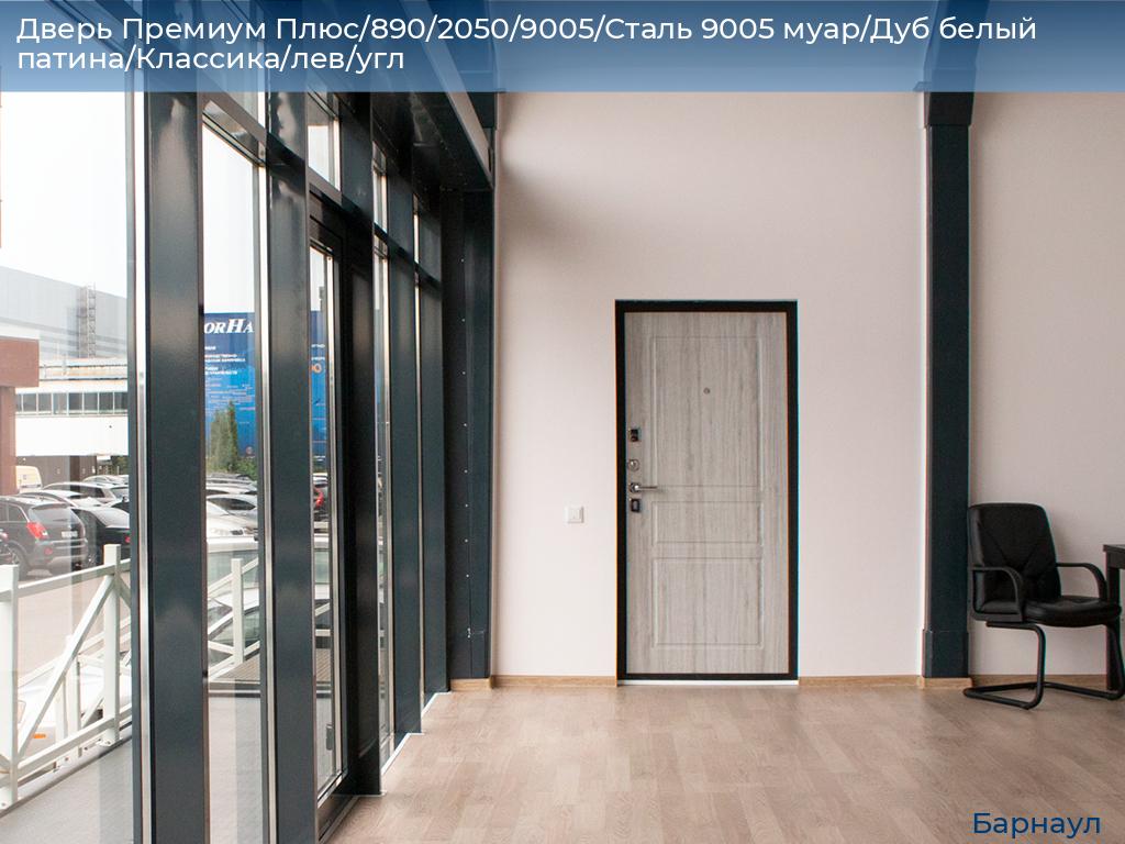 Дверь Премиум Плюс/890/2050/9005/Сталь 9005 муар/Дуб белый патина/Классика/лев/угл, barnaul.doorhan.ru