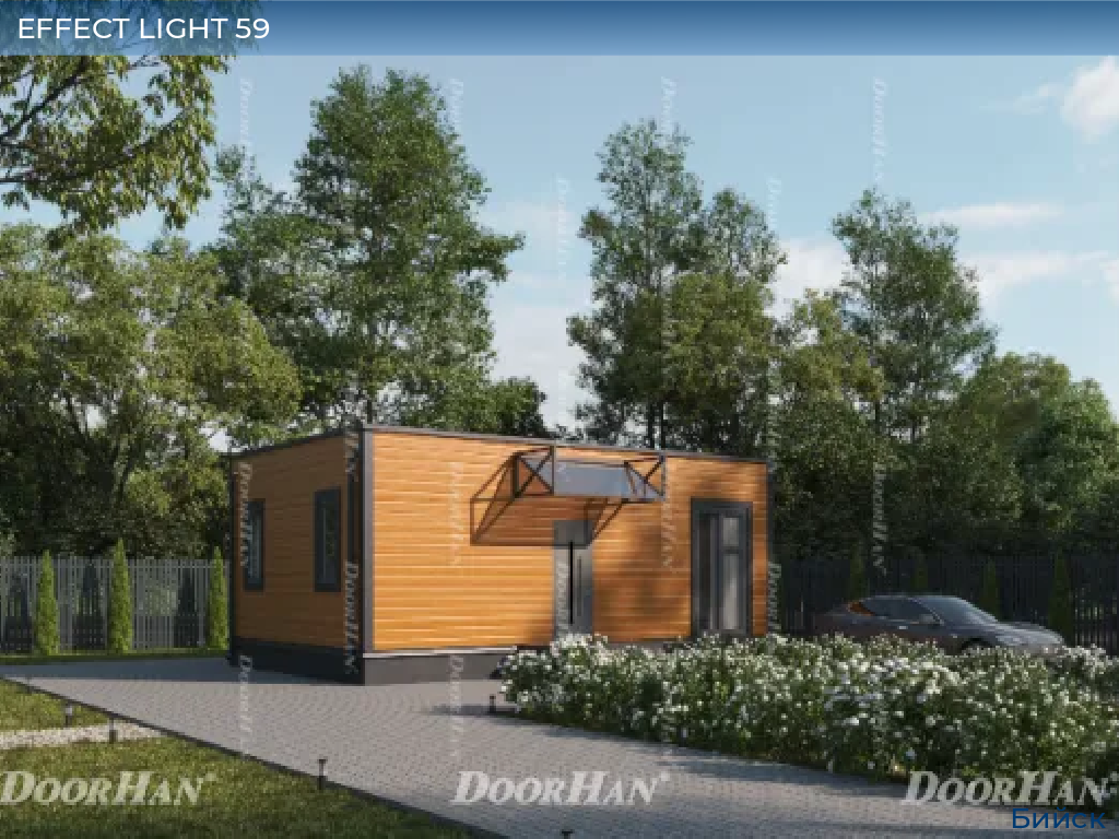 EFFECT LIGHT 59, biysk.doorhan.ru