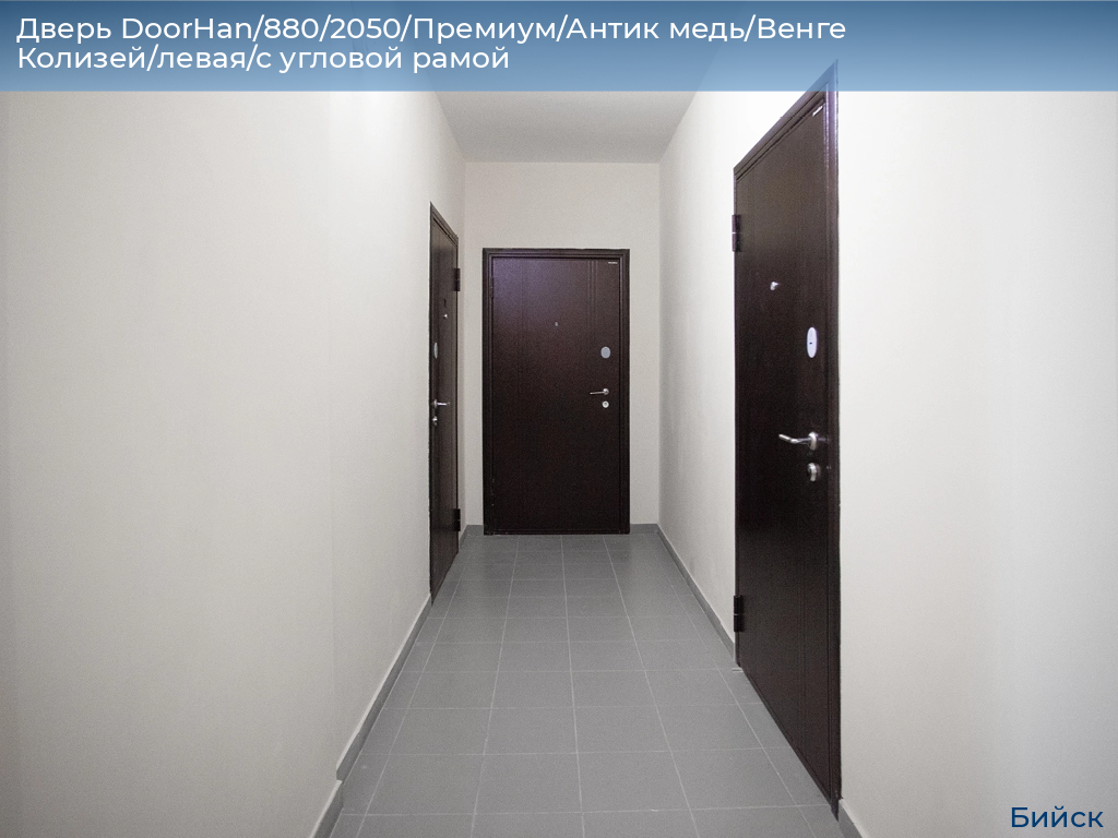 Дверь DoorHan/880/2050/Премиум/Антик медь/Венге Колизей/левая/с угловой рамой, biysk.doorhan.ru