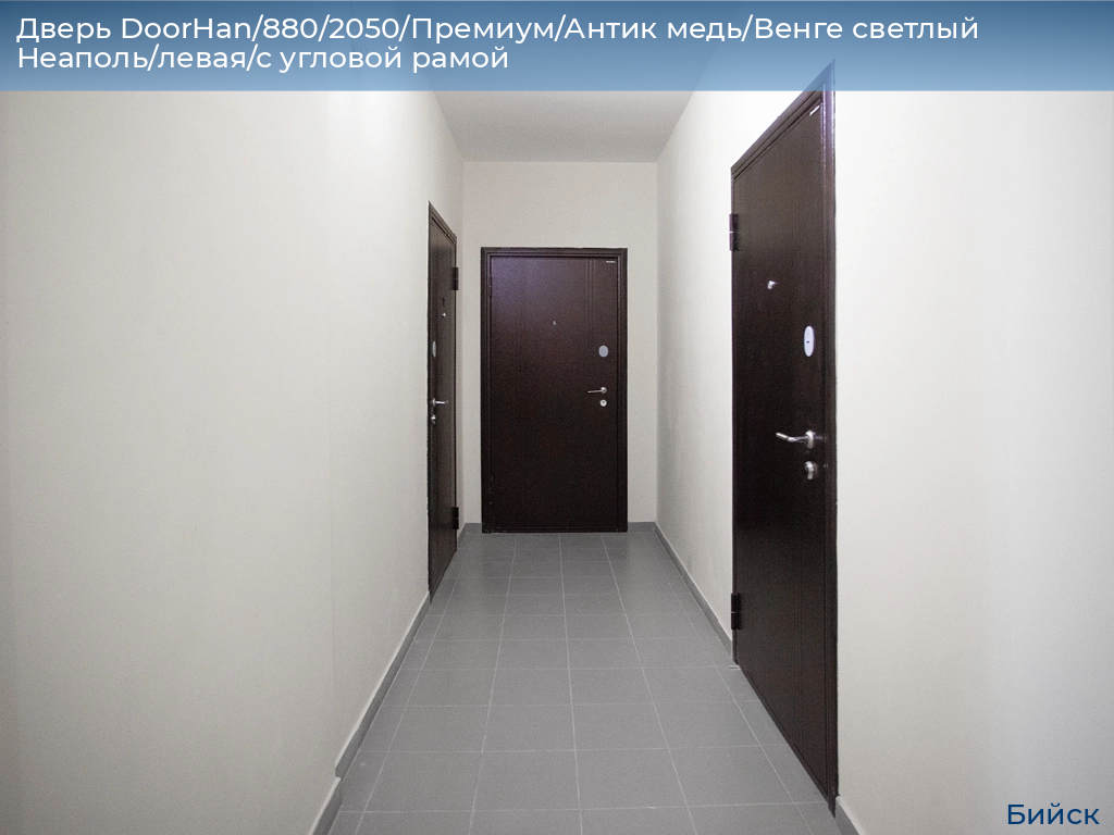 Дверь DoorHan/880/2050/Премиум/Антик медь/Венге светлый Неаполь/левая/с угловой рамой, biysk.doorhan.ru