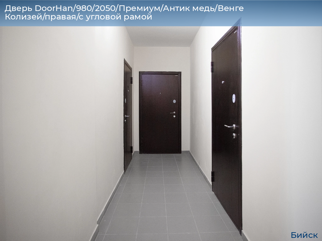 Дверь DoorHan/980/2050/Премиум/Антик медь/Венге Колизей/правая/с угловой рамой, biysk.doorhan.ru