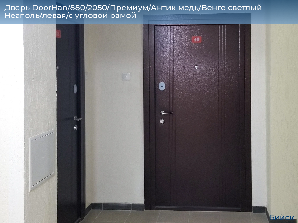 Дверь DoorHan/880/2050/Премиум/Антик медь/Венге светлый Неаполь/левая/с угловой рамой, biysk.doorhan.ru