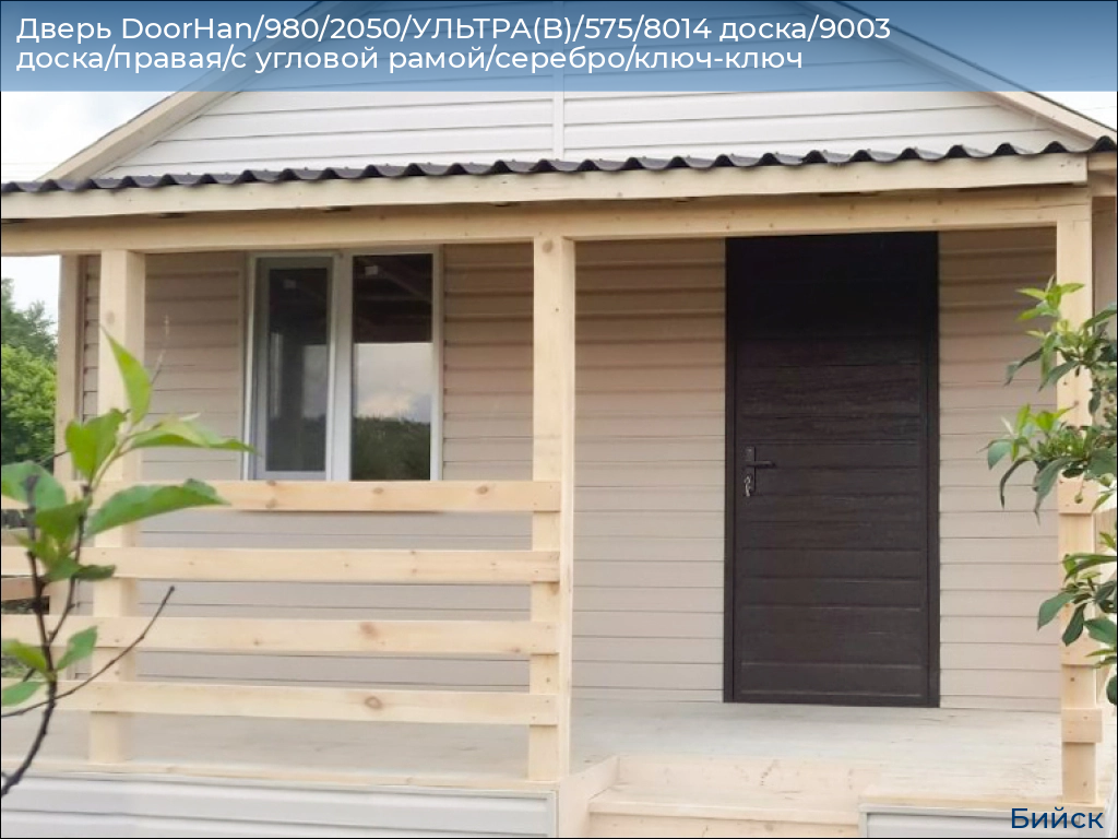 Дверь DoorHan/980/2050/УЛЬТРА(B)/575/8014 доска/9003 доска/правая/с угловой рамой/серебро/ключ-ключ, biysk.doorhan.ru