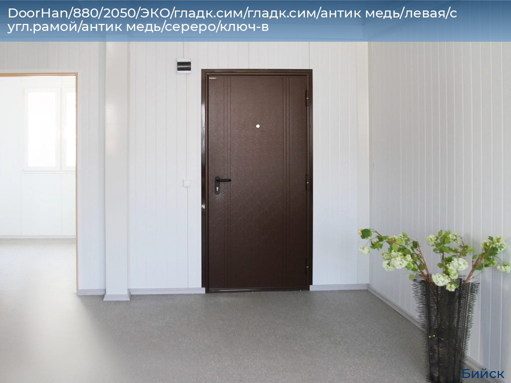 DoorHan/880/2050/ЭКО/гладк.сим/гладк.сим/антик медь/левая/с угл.рамой/антик медь/сереро/ключ-в, biysk.doorhan.ru