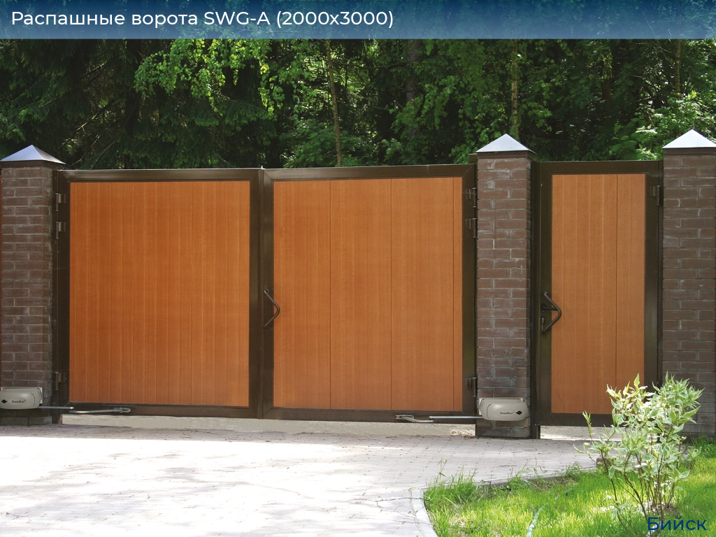 Распашные ворота SWG-A (2000х3000), biysk.doorhan.ru